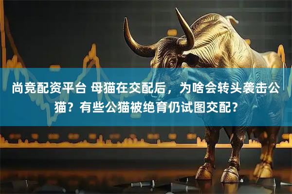 尚竞配资平台 母猫在交配后,为啥会转头袭击公猫?有些公猫被绝育仍试图交配?