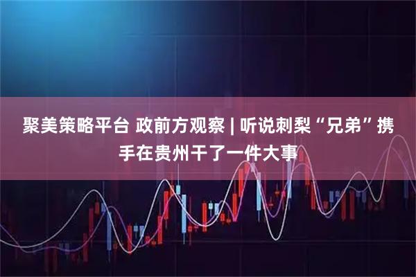 聚美策略平台 政前方观察 | 听说刺梨“兄弟”携手在贵州干了一件大事