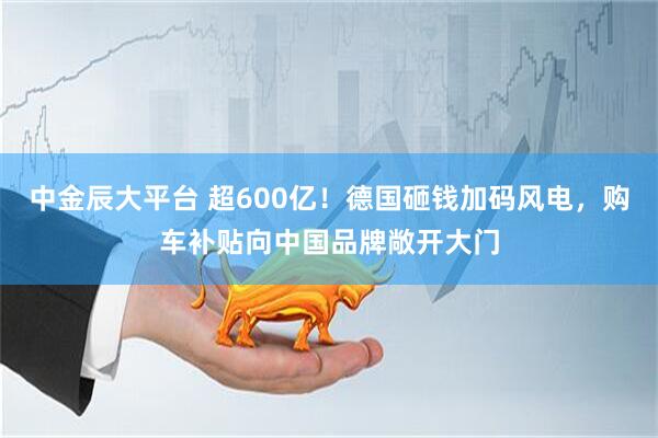中金辰大平台 超600亿！德国砸钱加码风电，购车补贴向中国品牌敞开大门