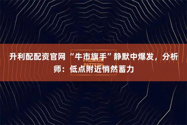 升利配配资官网 “牛市旗手”静默中爆发，分析师：低点附近悄然蓄力