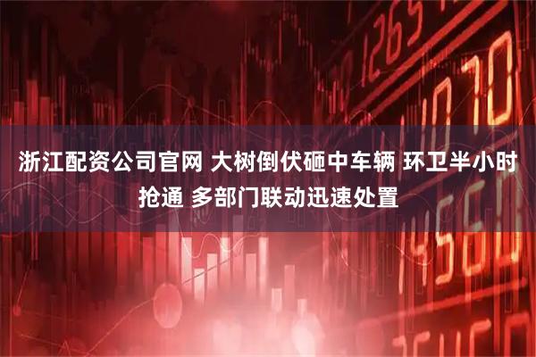浙江配资公司官网 大树倒伏砸中车辆 环卫半小时抢通 多部门联动迅速处置
